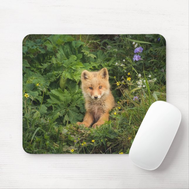 Niedliche Kleintiere | Rotfuchs bei Umnak Alaska Mousepad (Mit Mouse)
