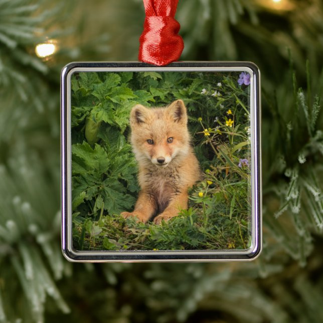 Niedliche Kleintiere | Rotfuchs bei Umnak Alaska Ornament Aus Metall (Baum)