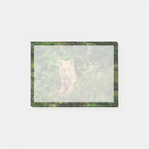 Niedliche Kleintiere Rotfuchs bei Umnak Alaska Post-it Klebezettel