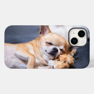 Niedliche Kleintiere Rothaariger Chihuahua-Hund Case-Mate iPhone 14 Hülle