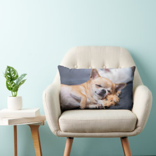 Niedliche Kleintiere   Rothaariger Chihuahua-Hund Lendenkissen