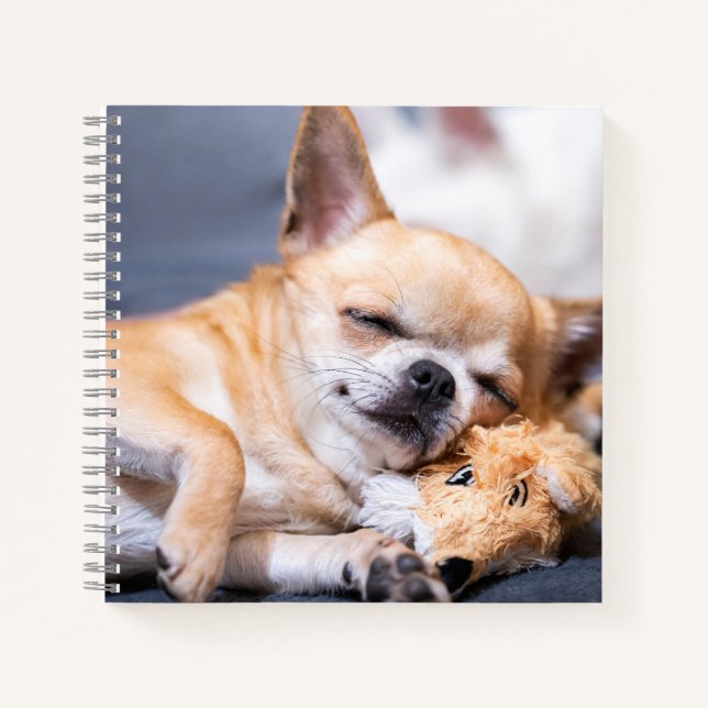 Niedliche Kleintiere | Rothaariger Chihuahua-Hund Notizbuch (Vorderseite)
