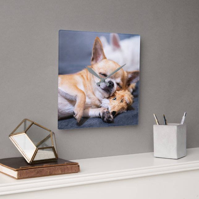 Niedliche Kleintiere | Rothaariger Chihuahua-Hund Quadratische Wanduhr (Büro)