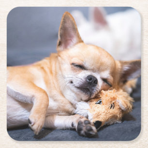 Niedliche Kleintiere Rothaariger Chihuahua-Hund Rechteckiger Pappuntersetzer