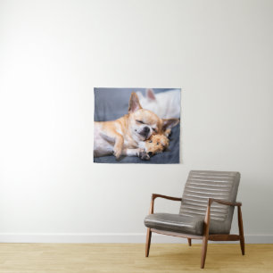 Niedliche Kleintiere Rothaariger Chihuahua-Hund Wandteppich
