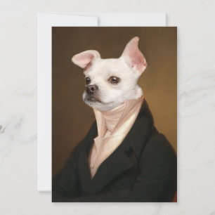 Niedliche Kleintiere   Royal Chihuahua Portrait Dankeskarte