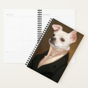 Niedliche Kleintiere Royal Chihuahua Portrait Planer