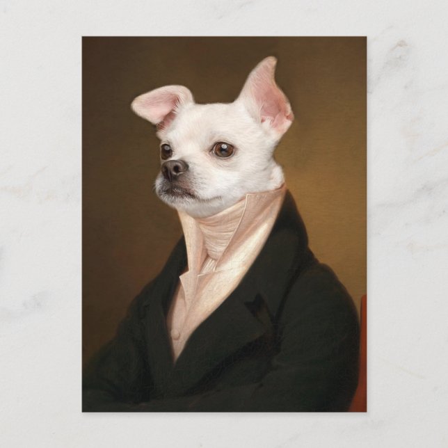 Niedliche Kleintiere | Royal Chihuahua Portrait Postkarte (Vorderseite)