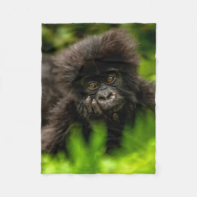 Niedliche Kleintiere | Säugling Gorilla Fleecedecke (Vorderseite)