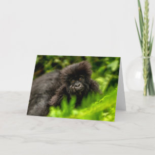 Niedliche Kleintiere Säugling Gorilla Karte