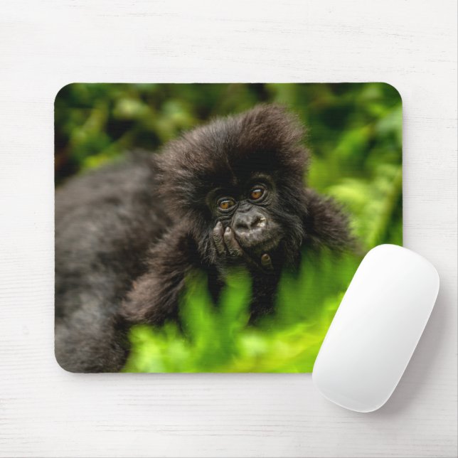 Niedliche Kleintiere | Säugling Gorilla Mousepad (Mit Mouse)