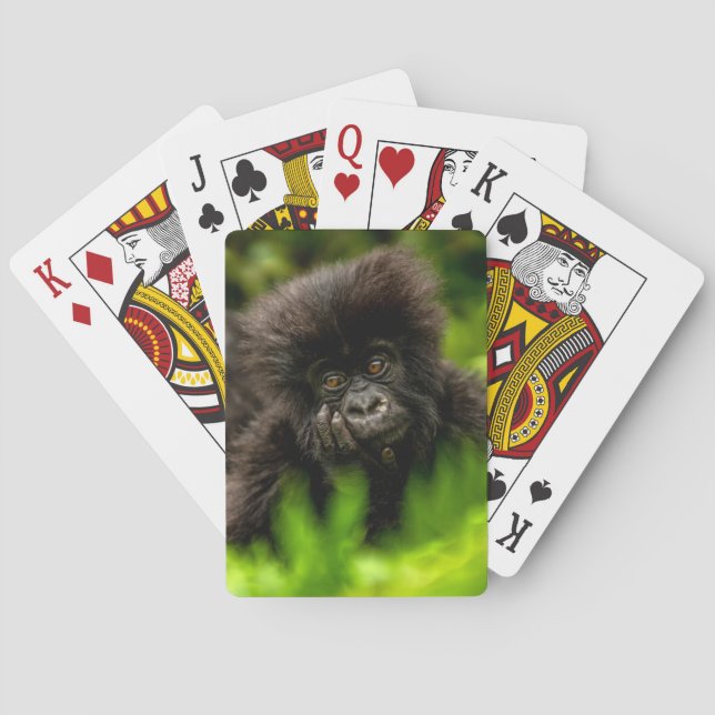 Niedliche Kleintiere | Säugling Gorilla Spielkarten (Rückseite)