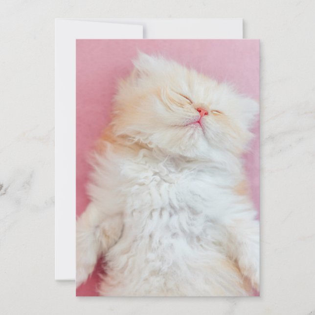 Niedliche Kleintiere | Schönes Kittenschlafen Dankeskarte (Vorderseite)