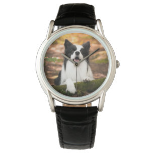Niedliche Kleintiere   Schwarz-Weiß-Border-Collie Armbanduhr
