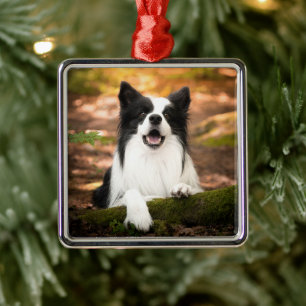 Niedliche Kleintiere Schwarz-Weiß-Border-Collie Ornament Aus Metall