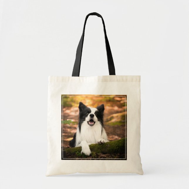 Niedliche Kleintiere | Schwarz-Weiß-Border-Collie Tragetasche (Vorne)