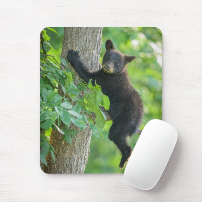 Niedliche Kleintiere | Schwarzbärenkuppe Mousepad (Mit Mouse)