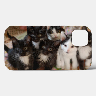 Niedliche Kleintiere Schwarze und weiße Kätzchen Case-Mate iPhone Hülle