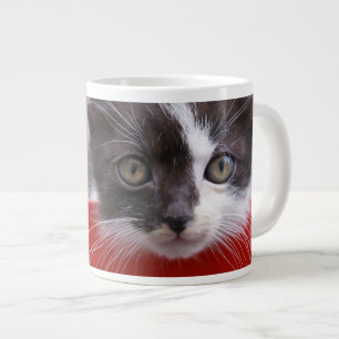 Niedliche Kleintiere Schwarze und weiße Kätzchen Jumbo-Tasse