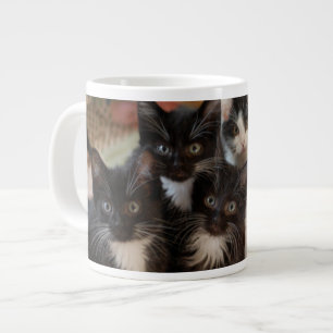 Niedliche Kleintiere   Schwarze und weiße Kätzchen Jumbo-Tasse