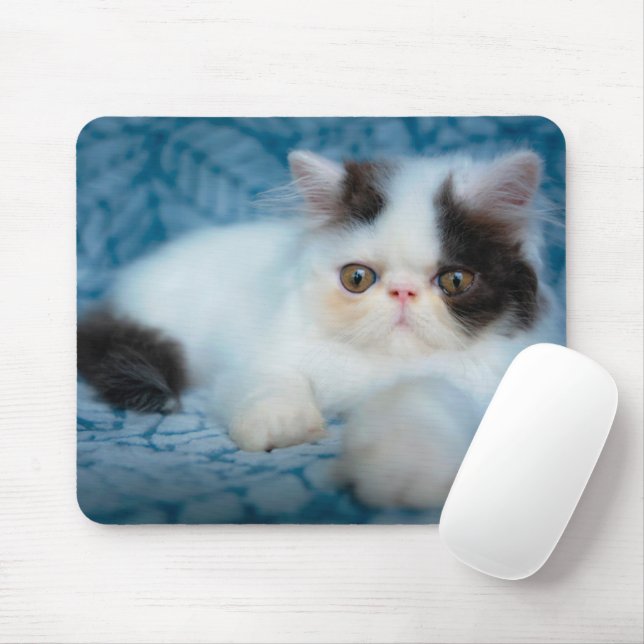 Niedliche Kleintiere | Schwarze und weiße Kätzchen Mousepad (Mit Mouse)