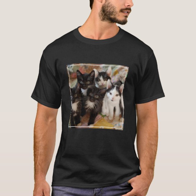 Niedliche Kleintiere | Schwarze und weiße Kätzchen T-Shirt (Vorderseite)