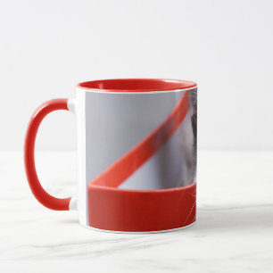 Niedliche Kleintiere   Schwarze und weiße Kätzchen Tasse