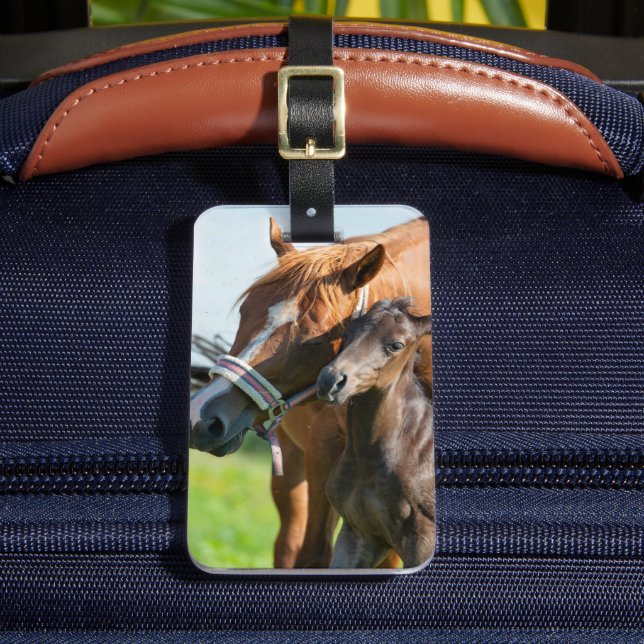 Niedliche Kleintiere | Schwarzer Fohlen mit Mama Gepäckanhänger (Vorderseite Insitu 2)