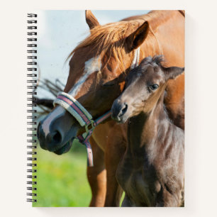 Niedliche Kleintiere Schwarzer Fohlen mit Mama Notizbuch