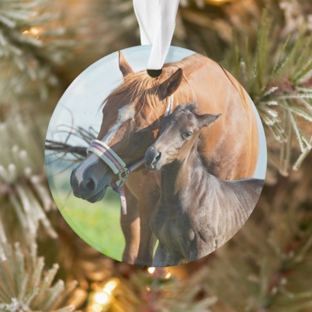 Niedliche Kleintiere | Schwarzer Fohlen mit Mama Ornament (Baum)