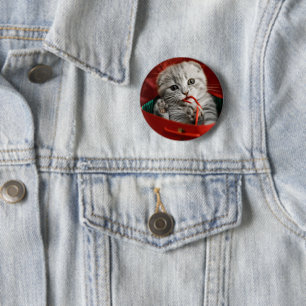 Niedliche Kleintiere   Scottish Fold Kitten Button
