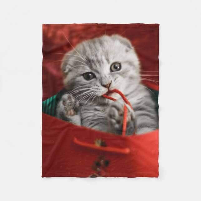 Niedliche Kleintiere | Scottish Fold Kitten Fleecedecke (Vorderseite)