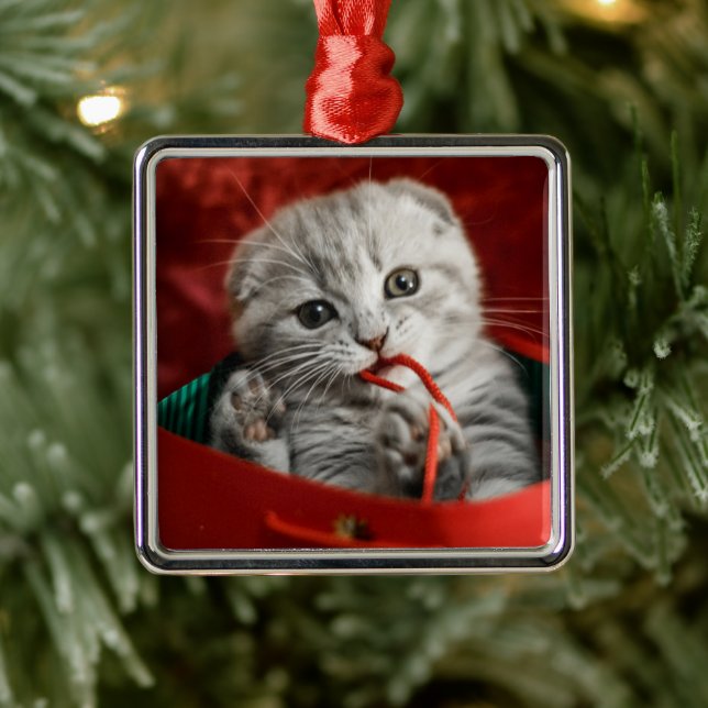 Niedliche Kleintiere | Scottish Fold Kitten Ornament Aus Metall (Baum)