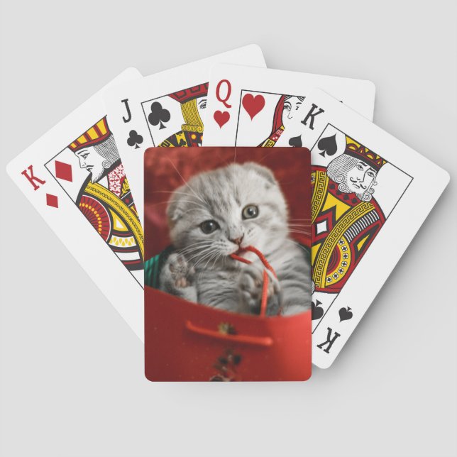 Niedliche Kleintiere | Scottish Fold Kitten Spielkarten (Rückseite)