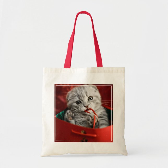 Niedliche Kleintiere | Scottish Fold Kitten Tragetasche (Vorne)