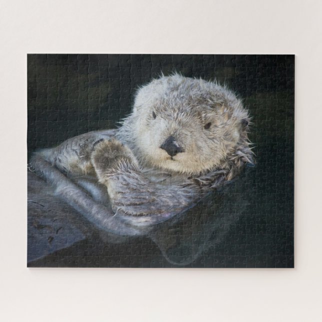 Niedliche Kleintiere | Sea Otter Floating (Horizontal)