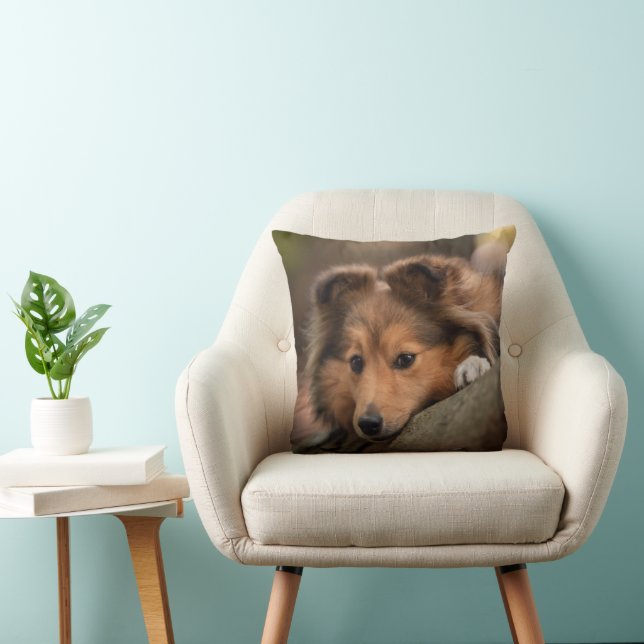 Niedliche Kleintiere | Shetland Sheepdog Welppy Kissen (Stuhl )
