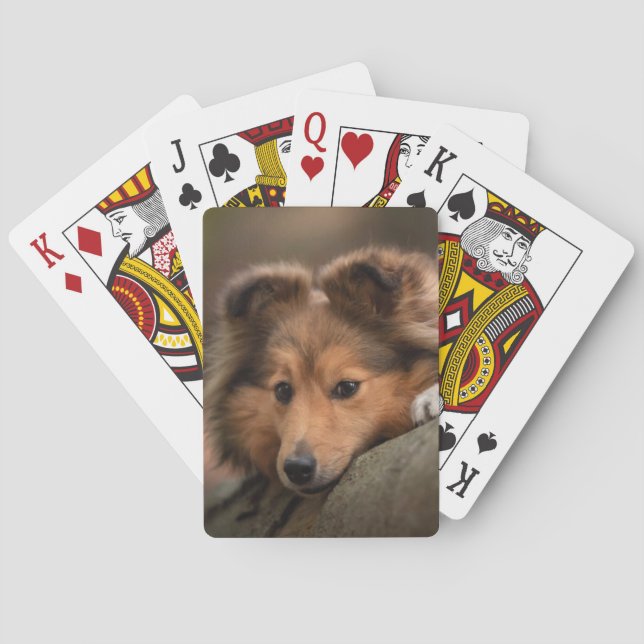 Niedliche Kleintiere | Shetland Sheepdog Welppy Spielkarten (Rückseite)