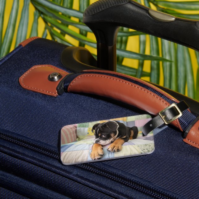 Niedliche Kleintiere | Shi Old English Bulldog Gepäckanhänger (Vorderseite Insitu 3)