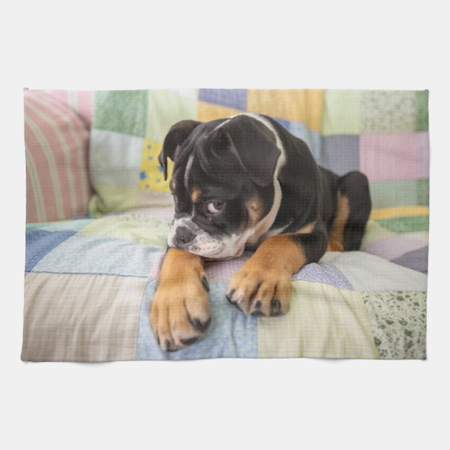 Niedliche Kleintiere | Shi Old English Bulldog Geschirrtuch (Horizontal)