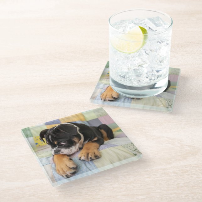 Niedliche Kleintiere | Shi Old English Bulldog Glasuntersetzer (Schrägansicht)