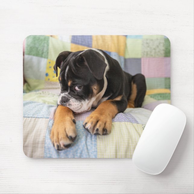 Niedliche Kleintiere | Shi Old English Bulldog Mousepad (Mit Mouse)
