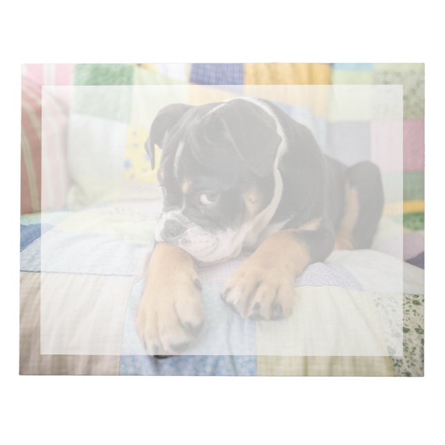 Niedliche Kleintiere | Shi Old English Bulldog Notizblock (Vorderseite)