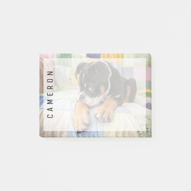 Niedliche Kleintiere | Shi Old English Bulldog Post-it Klebezettel (Vorderseite)