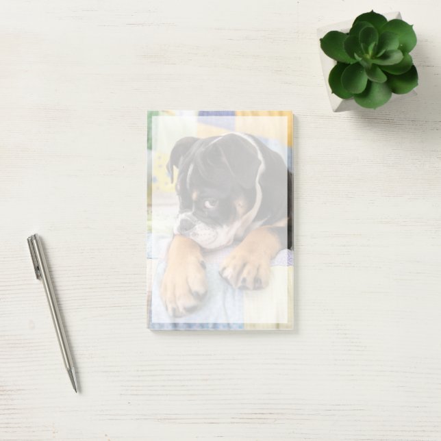 Niedliche Kleintiere | Shi Old English Bulldog Post-it Klebezettel (Büro)