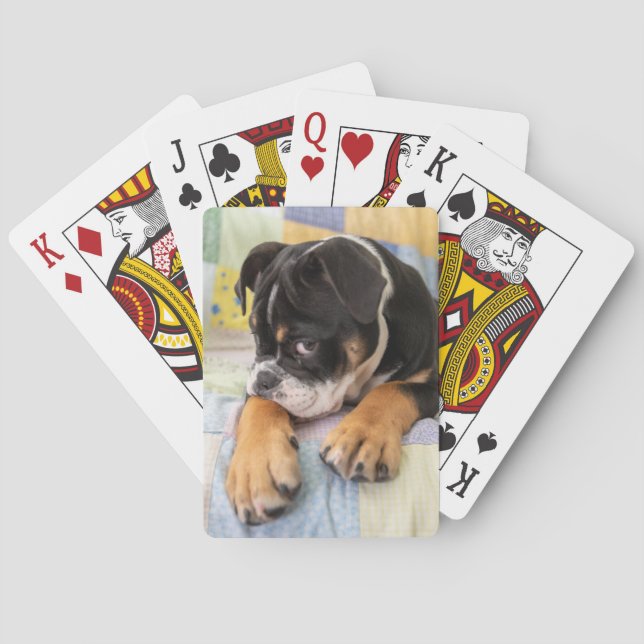 Niedliche Kleintiere | Shi Old English Bulldog Spielkarten (Rückseite)