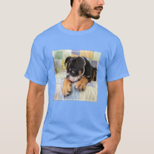 Niedliche Kleintiere   Shi Old English Bulldog T-Shirt