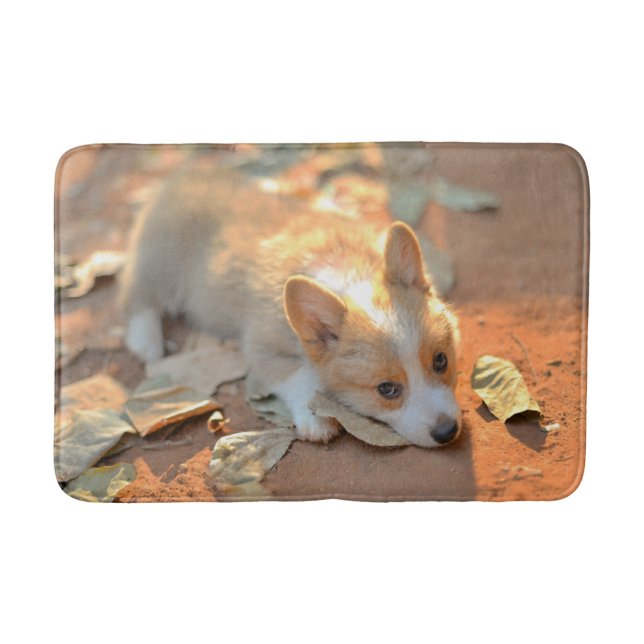Niedliche Kleintiere | Shy Corgi Badematte (Vorderseite)