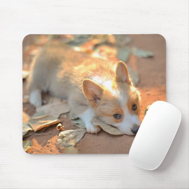Niedliche Kleintiere | Shy Corgi Mousepad (Mit Mouse)