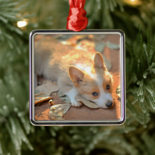 Niedliche Kleintiere   Shy Corgi Ornament Aus Metall
